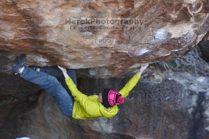 

Filename: SRM_20161209_1747200.jpg
Aperture: f/1.8
Shutter Speed: 1/500
Body: Canon EOS-1D Mark II
Lens: Canon EF 85mm f/1.2 L II