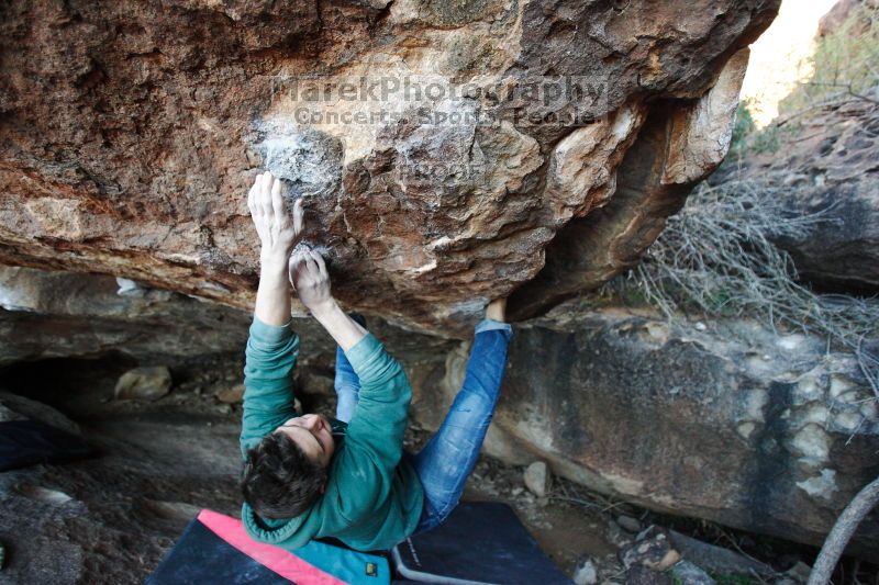

Filename: SRM_20161209_1833051.jpg
Aperture: f/2.8
Shutter Speed: 1/320
Body: Canon EOS-1D Mark II
Lens: Canon EF 16-35mm f/2.8 L