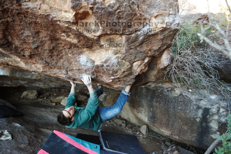 

Filename: SRM_20161209_1835510.jpg
Aperture: f/2.8
Shutter Speed: 1/320
Body: Canon EOS-1D Mark II
Lens: Canon EF 16-35mm f/2.8 L