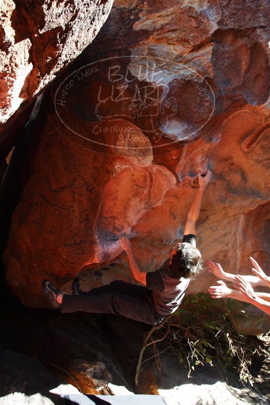 

Filename: SRM_20161215_1215211.jpg
Aperture: f/5.6
Shutter Speed: 1/320
Body: Canon EOS-1D Mark II
Lens: Canon EF 16-35mm f/2.8 L