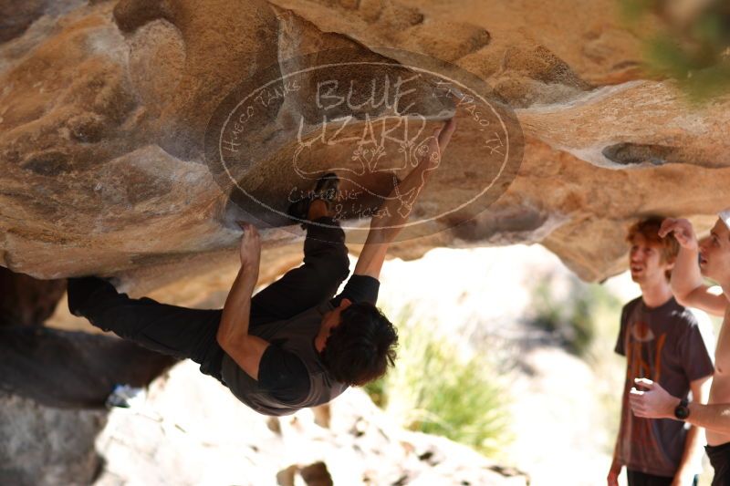 

Filename: SRM_20161215_1325121.jpg
Aperture: f/2.0
Shutter Speed: 1/500
Body: Canon EOS-1D Mark II
Lens: Canon EF 85mm f/1.2 L II