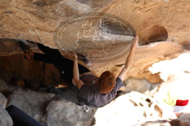 

Filename: SRM_20161215_1327153.jpg
Aperture: f/2.0
Shutter Speed: 1/500
Body: Canon EOS-1D Mark II
Lens: Canon EF 85mm f/1.2 L II