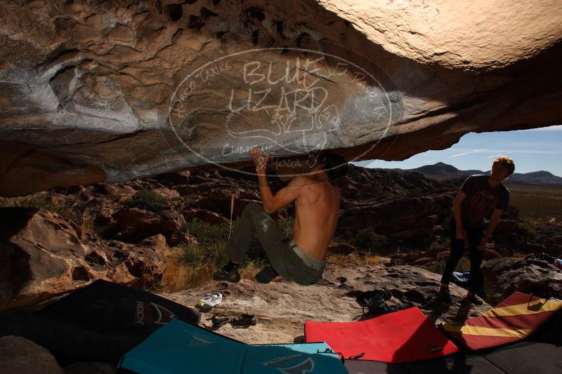 

Filename: SRM_20161215_1336070.jpg
Aperture: f/9.0
Shutter Speed: 1/250
Body: Canon EOS-1D Mark II
Lens: Canon EF 16-35mm f/2.8 L