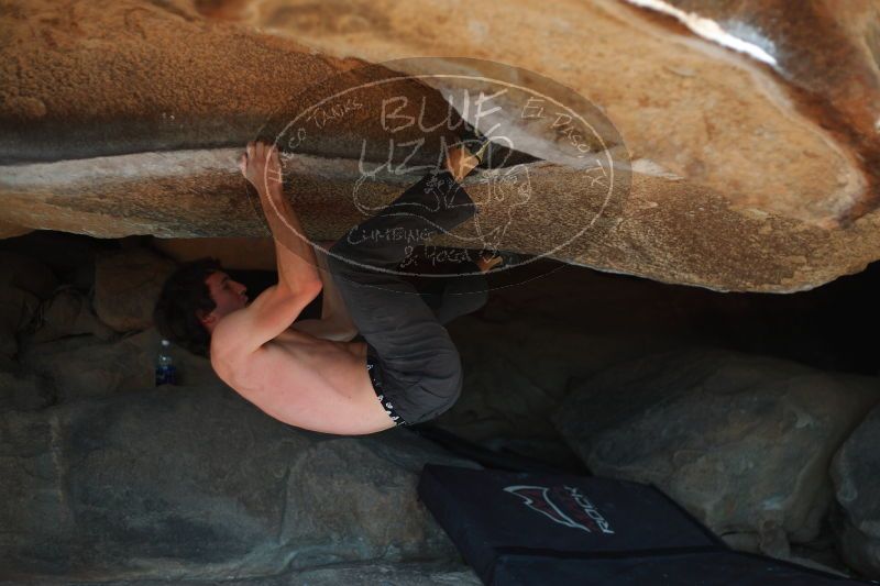 

Filename: SRM_20161215_1340321.jpg
Aperture: f/2.2
Shutter Speed: 1/2000
Body: Canon EOS-1D Mark II
Lens: Canon EF 50mm f/1.8 II