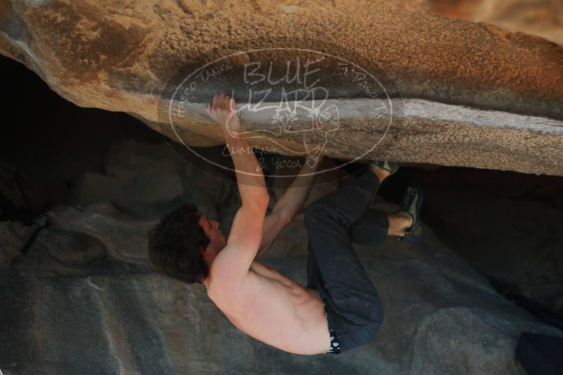 

Filename: SRM_20161215_1340410.jpg
Aperture: f/2.2
Shutter Speed: 1/1600
Body: Canon EOS-1D Mark II
Lens: Canon EF 50mm f/1.8 II