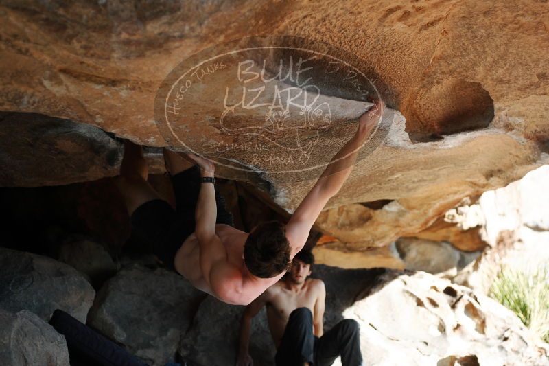 

Filename: SRM_20161215_1346400.jpg
Aperture: f/2.8
Shutter Speed: 1/800
Body: Canon EOS-1D Mark II
Lens: Canon EF 50mm f/1.8 II