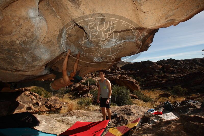 

Filename: SRM_20161215_1354110.jpg
Aperture: f/8.0
Shutter Speed: 1/250
Body: Canon EOS-1D Mark II
Lens: Canon EF 16-35mm f/2.8 L