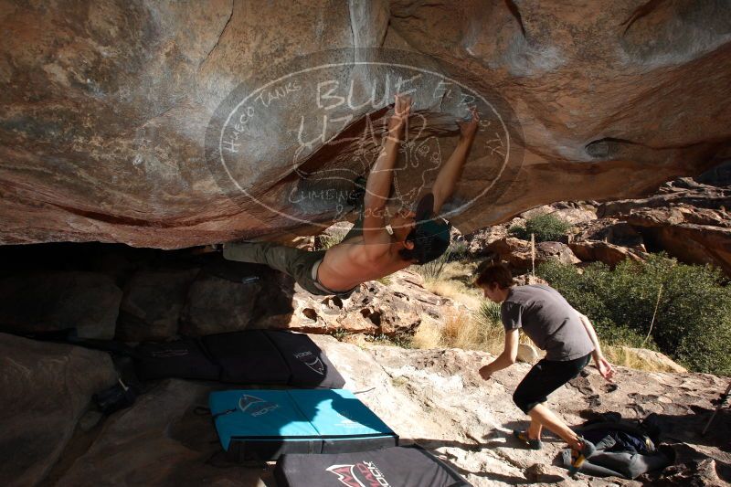 

Filename: SRM_20161215_1428580.jpg
Aperture: f/8.0
Shutter Speed: 1/250
Body: Canon EOS-1D Mark II
Lens: Canon EF 16-35mm f/2.8 L