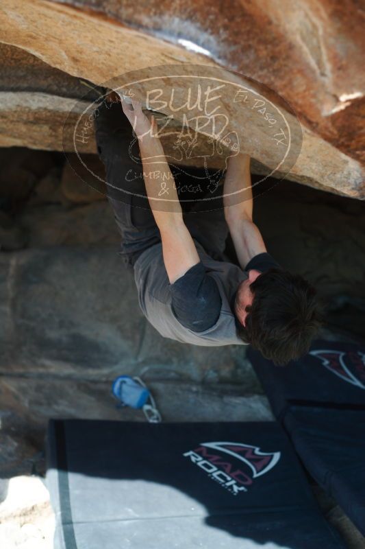 

Filename: SRM_20161215_1452070.jpg
Aperture: f/2.8
Shutter Speed: 1/500
Body: Canon EOS-1D Mark II
Lens: Canon EF 50mm f/1.8 II