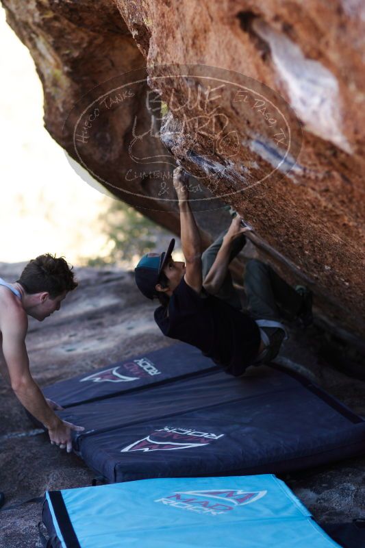 

Filename: SRM_20161215_1604230.jpg
Aperture: f/2.0
Shutter Speed: 1/400
Body: Canon EOS-1D Mark II
Lens: Canon EF 85mm f/1.2 L II