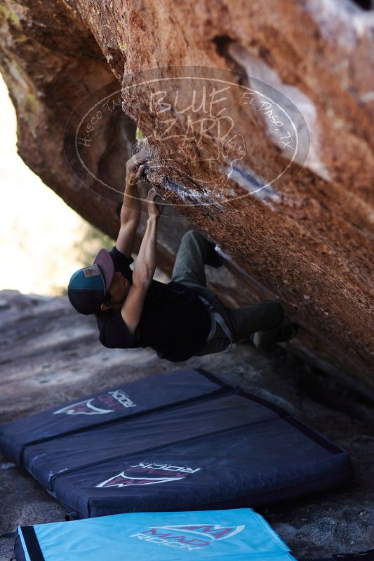 

Filename: SRM_20161215_1604260.jpg
Aperture: f/2.0
Shutter Speed: 1/400
Body: Canon EOS-1D Mark II
Lens: Canon EF 85mm f/1.2 L II