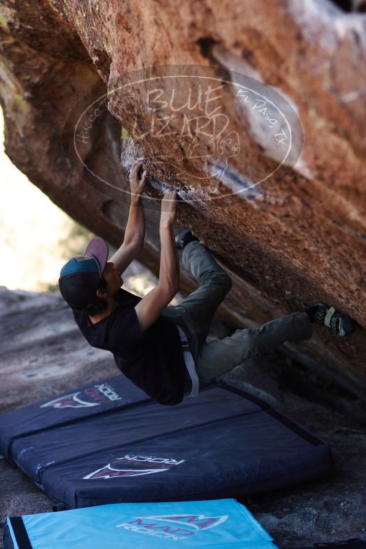 

Filename: SRM_20161215_1604340.jpg
Aperture: f/2.0
Shutter Speed: 1/400
Body: Canon EOS-1D Mark II
Lens: Canon EF 85mm f/1.2 L II