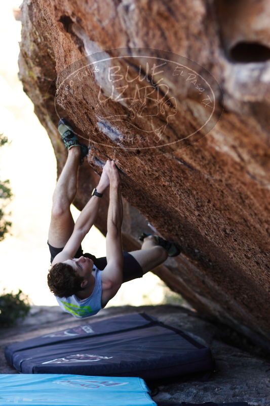 

Filename: SRM_20161215_1606301.jpg
Aperture: f/2.0
Shutter Speed: 1/400
Body: Canon EOS-1D Mark II
Lens: Canon EF 85mm f/1.2 L II