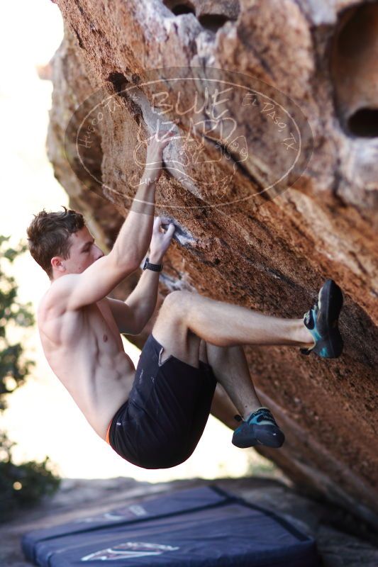 

Filename: SRM_20161215_1610120.jpg
Aperture: f/2.0
Shutter Speed: 1/320
Body: Canon EOS-1D Mark II
Lens: Canon EF 85mm f/1.2 L II