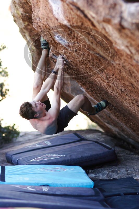 

Filename: SRM_20161215_1612310.jpg
Aperture: f/2.0
Shutter Speed: 1/250
Body: Canon EOS-1D Mark II
Lens: Canon EF 85mm f/1.2 L II