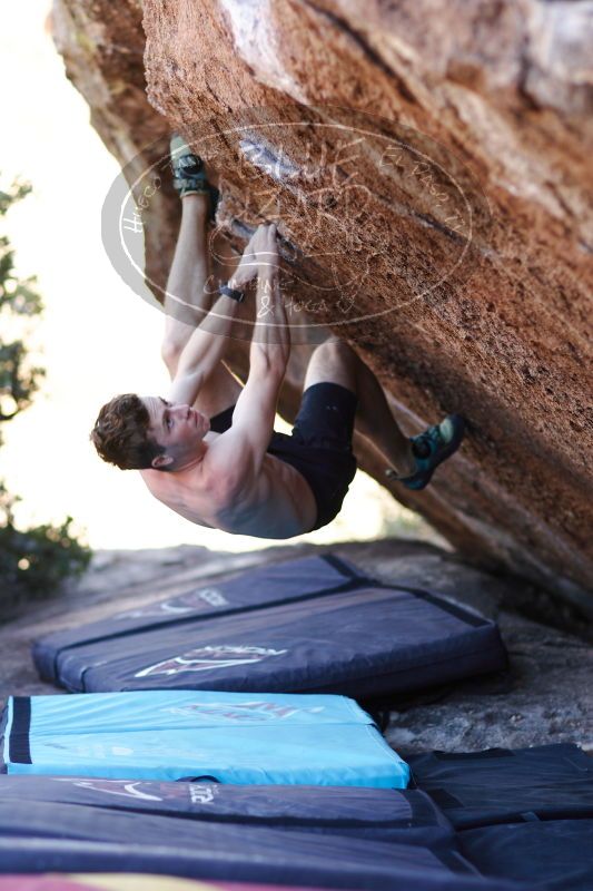 

Filename: SRM_20161215_1612320.jpg
Aperture: f/2.0
Shutter Speed: 1/250
Body: Canon EOS-1D Mark II
Lens: Canon EF 85mm f/1.2 L II