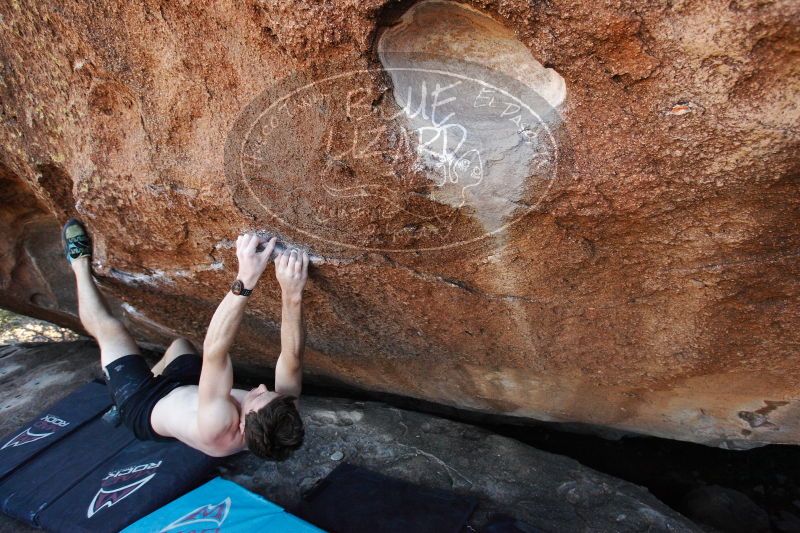 

Filename: SRM_20161215_1620200.jpg
Aperture: f/5.0
Shutter Speed: 1/400
Body: Canon EOS-1D Mark II
Lens: Canon EF 16-35mm f/2.8 L