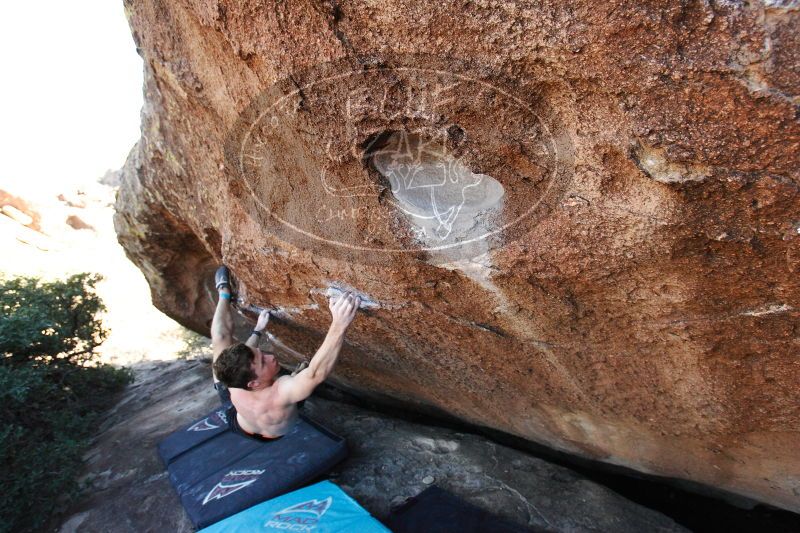 

Filename: SRM_20161215_1636501.jpg
Aperture: f/5.0
Shutter Speed: 1/400
Body: Canon EOS-1D Mark II
Lens: Canon EF 16-35mm f/2.8 L