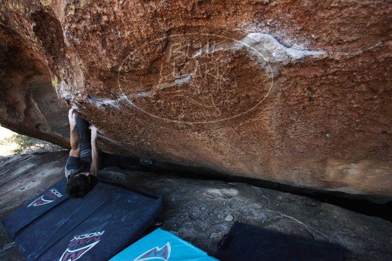 

Filename: SRM_20161215_1642020.jpg
Aperture: f/5.0
Shutter Speed: 1/400
Body: Canon EOS-1D Mark II
Lens: Canon EF 16-35mm f/2.8 L