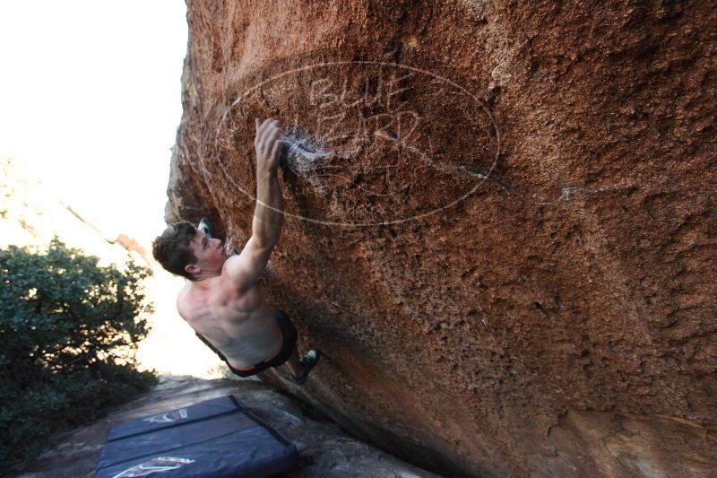 

Filename: SRM_20161215_1655351.jpg
Aperture: f/5.0
Shutter Speed: 1/400
Body: Canon EOS-1D Mark II
Lens: Canon EF 16-35mm f/2.8 L