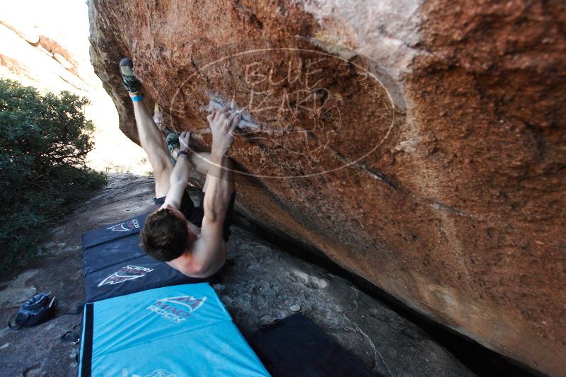 

Filename: SRM_20161215_1655431.jpg
Aperture: f/5.0
Shutter Speed: 1/400
Body: Canon EOS-1D Mark II
Lens: Canon EF 16-35mm f/2.8 L