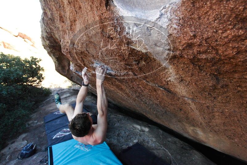 

Filename: SRM_20161215_1655440.jpg
Aperture: f/5.0
Shutter Speed: 1/400
Body: Canon EOS-1D Mark II
Lens: Canon EF 16-35mm f/2.8 L