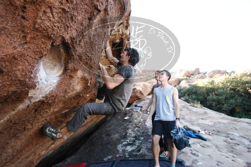 

Filename: SRM_20161215_1711192.jpg
Aperture: f/4.0
Shutter Speed: 1/320
Body: Canon EOS-1D Mark II
Lens: Canon EF 16-35mm f/2.8 L