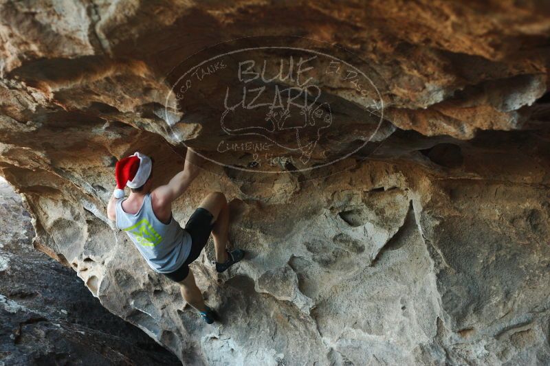 

Filename: SRM_20161215_1805000.jpg
Aperture: f/2.8
Shutter Speed: 1/320
Body: Canon EOS-1D Mark II
Lens: Canon EF 50mm f/1.8 II