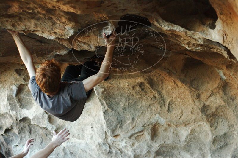 

Filename: SRM_20161215_1822170.jpg
Aperture: f/2.8
Shutter Speed: 1/320
Body: Canon EOS-1D Mark II
Lens: Canon EF 50mm f/1.8 II