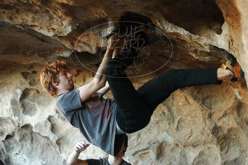 

Filename: SRM_20161215_1822273.jpg
Aperture: f/2.8
Shutter Speed: 1/320
Body: Canon EOS-1D Mark II
Lens: Canon EF 50mm f/1.8 II