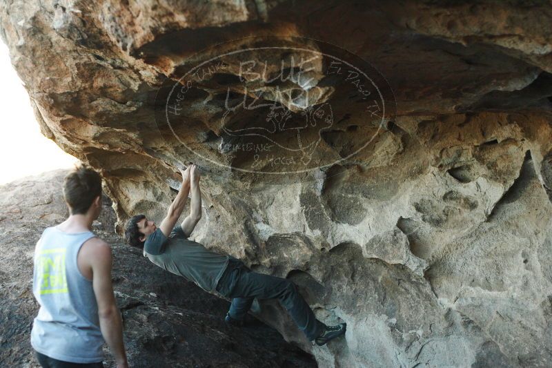 

Filename: SRM_20161215_1832000.jpg
Aperture: f/2.8
Shutter Speed: 1/400
Body: Canon EOS-1D Mark II
Lens: Canon EF 50mm f/1.8 II