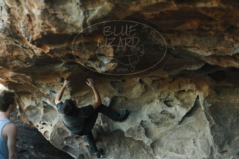 

Filename: SRM_20161215_1832080.jpg
Aperture: f/2.8
Shutter Speed: 1/400
Body: Canon EOS-1D Mark II
Lens: Canon EF 50mm f/1.8 II