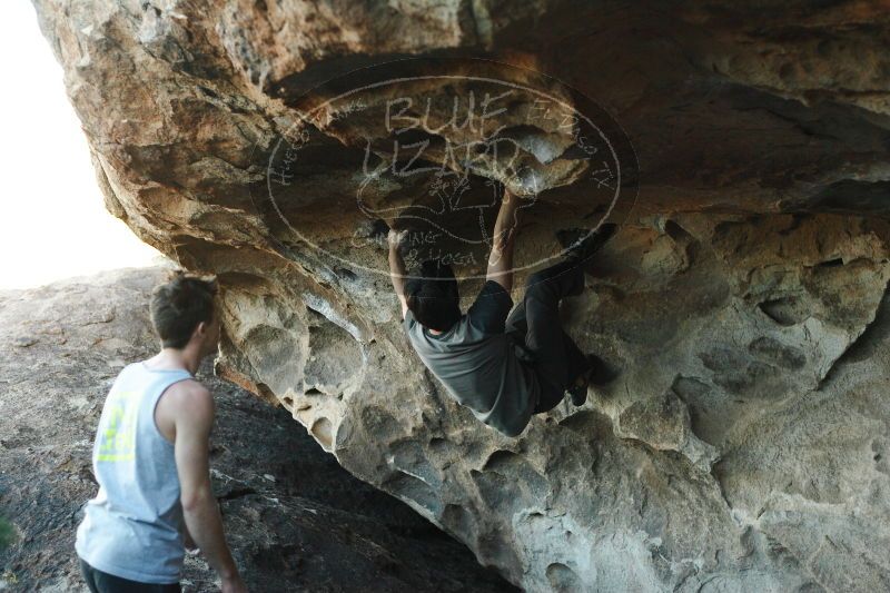 

Filename: SRM_20161215_1832110.jpg
Aperture: f/2.8
Shutter Speed: 1/400
Body: Canon EOS-1D Mark II
Lens: Canon EF 50mm f/1.8 II