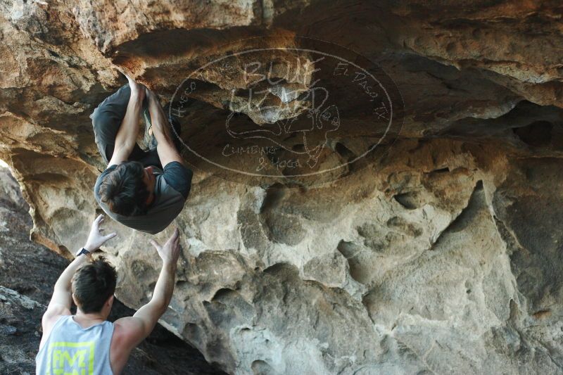 

Filename: SRM_20161215_1832370.jpg
Aperture: f/2.8
Shutter Speed: 1/400
Body: Canon EOS-1D Mark II
Lens: Canon EF 50mm f/1.8 II