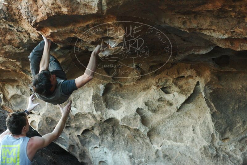 

Filename: SRM_20161215_1832390.jpg
Aperture: f/2.8
Shutter Speed: 1/400
Body: Canon EOS-1D Mark II
Lens: Canon EF 50mm f/1.8 II