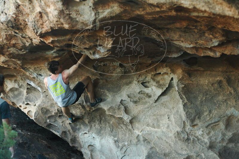 

Filename: SRM_20161215_1835160.jpg
Aperture: f/2.8
Shutter Speed: 1/400
Body: Canon EOS-1D Mark II
Lens: Canon EF 50mm f/1.8 II