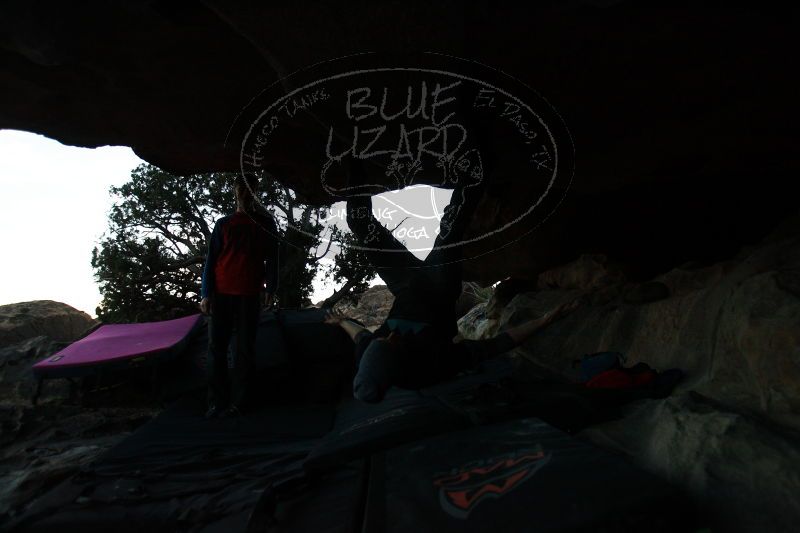 

Filename: SRM_20161226_1915241.jpg
Aperture: f/2.8
Shutter Speed: 1/1000
Body: Canon EOS-1D Mark II
Lens: Canon EF 16-35mm f/2.8 L