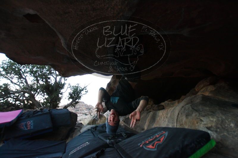 

Filename: SRM_20161226_1918032.jpg
Aperture: f/2.8
Shutter Speed: 1/200
Body: Canon EOS-1D Mark II
Lens: Canon EF 16-35mm f/2.8 L