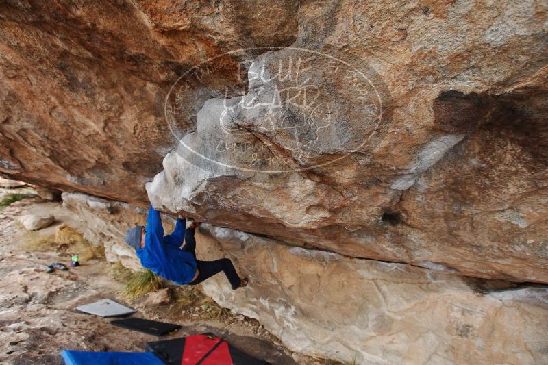 

Filename: SRM_20161225_1118510.jpg
Aperture: f/5.0
Shutter Speed: 1/250
Body: Canon EOS-1D Mark II
Lens: Canon EF 16-35mm f/2.8 L