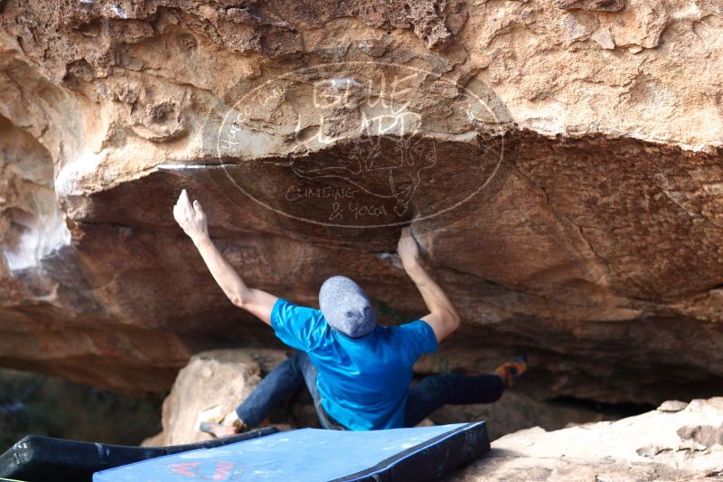 

Filename: SRM_20161225_1336020.jpg
Aperture: f/2.0
Shutter Speed: 1/500
Body: Canon EOS-1D Mark II
Lens: Canon EF 85mm f/1.2 L II