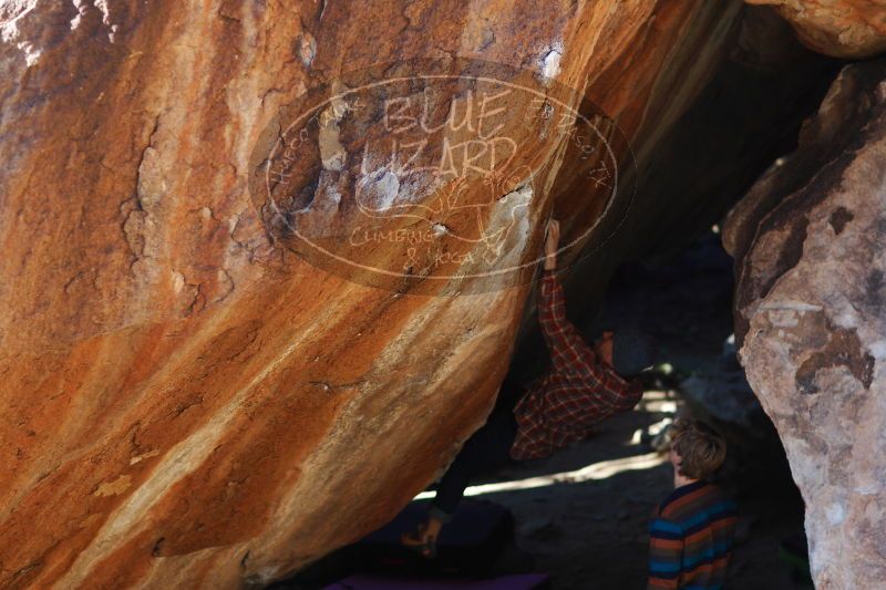 

Filename: SRM_20161225_1718040.jpg
Aperture: f/2.0
Shutter Speed: 1/640
Body: Canon EOS-1D Mark II
Lens: Canon EF 85mm f/1.2 L II