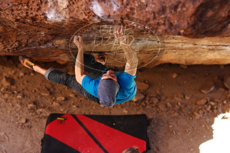 

Filename: SRM_20161223_1533402.jpg
Aperture: f/2.0
Shutter Speed: 1/500
Body: Canon EOS-1D Mark II
Lens: Canon EF 85mm f/1.2 L II