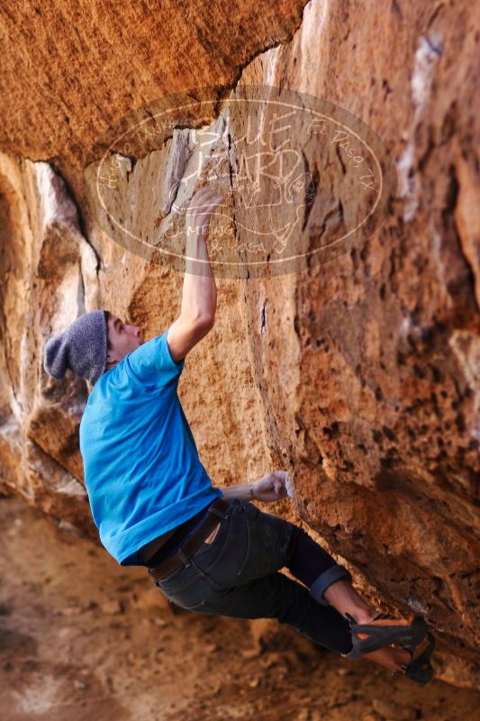 

Filename: SRM_20161223_1546040.jpg
Aperture: f/2.0
Shutter Speed: 1/400
Body: Canon EOS-1D Mark II
Lens: Canon EF 85mm f/1.2 L II