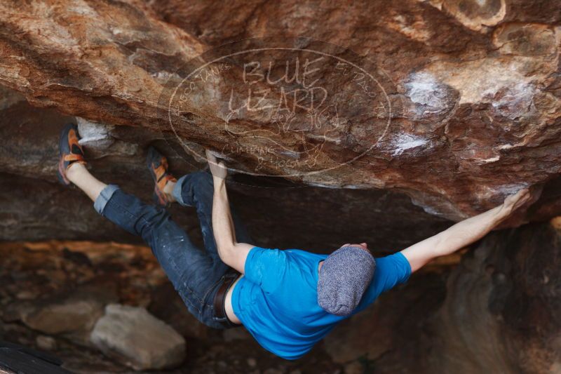 

Filename: SRM_20161223_1809023.jpg
Aperture: f/2.0
Shutter Speed: 1/640
Body: Canon EOS-1D Mark II
Lens: Canon EF 85mm f/1.2 L II