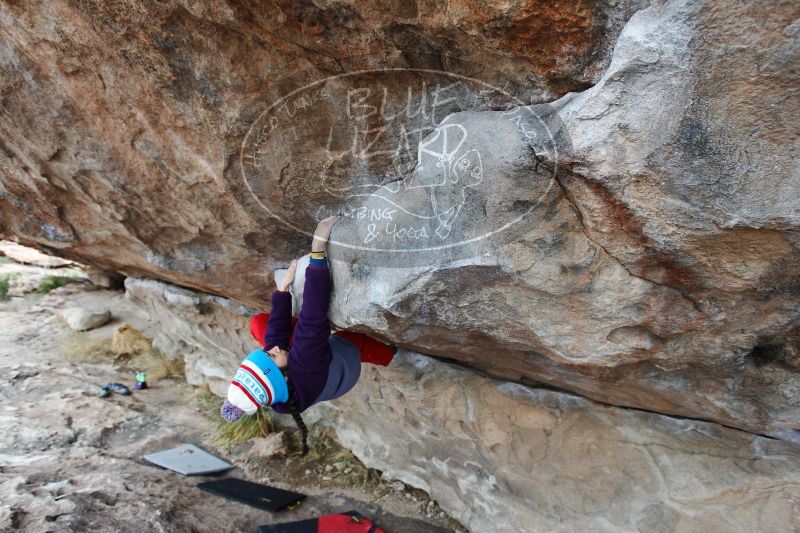 

Filename: SRM_20161225_1116520.jpg
Aperture: f/4.5
Shutter Speed: 1/250
Body: Canon EOS-1D Mark II
Lens: Canon EF 16-35mm f/2.8 L