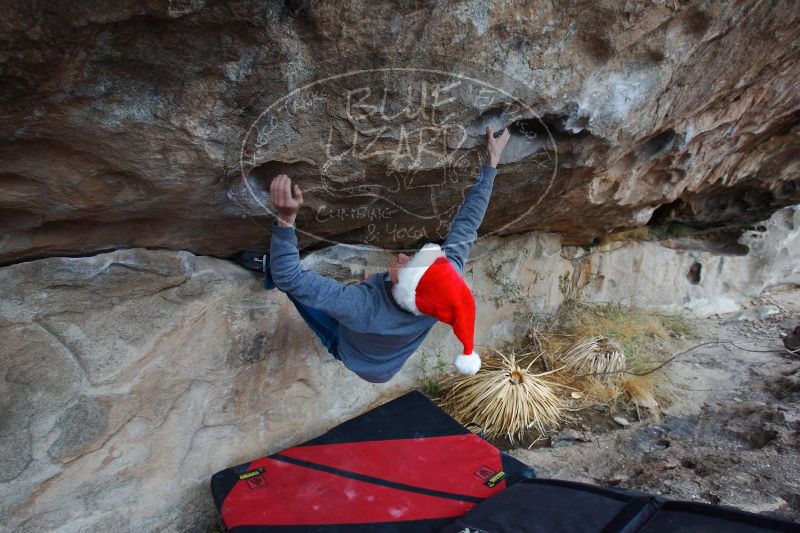 

Filename: SRM_20161225_1120240.jpg
Aperture: f/5.0
Shutter Speed: 1/250
Body: Canon EOS-1D Mark II
Lens: Canon EF 16-35mm f/2.8 L