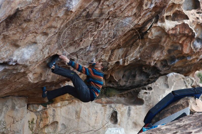 

Filename: SRM_20161225_1215270.jpg
Aperture: f/2.8
Shutter Speed: 1/320
Body: Canon EOS-1D Mark II
Lens: Canon EF 85mm f/1.2 L II