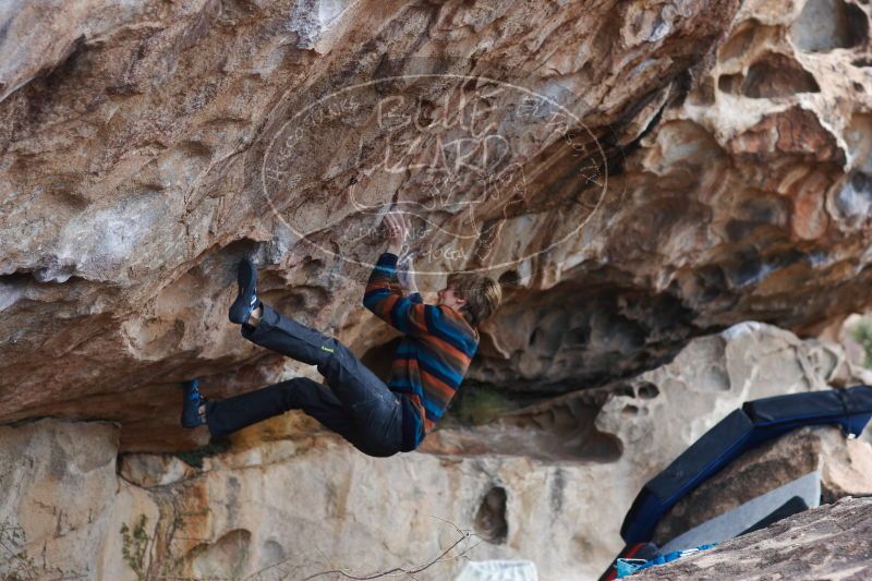 

Filename: SRM_20161225_1215290.jpg
Aperture: f/2.8
Shutter Speed: 1/320
Body: Canon EOS-1D Mark II
Lens: Canon EF 85mm f/1.2 L II