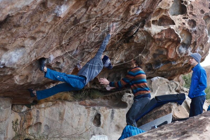 

Filename: SRM_20161225_1218031.jpg
Aperture: f/2.8
Shutter Speed: 1/400
Body: Canon EOS-1D Mark II
Lens: Canon EF 85mm f/1.2 L II