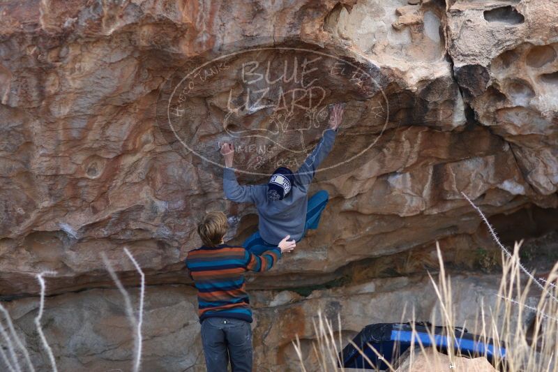 

Filename: SRM_20161225_1225260.jpg
Aperture: f/2.0
Shutter Speed: 1/400
Body: Canon EOS-1D Mark II
Lens: Canon EF 85mm f/1.2 L II